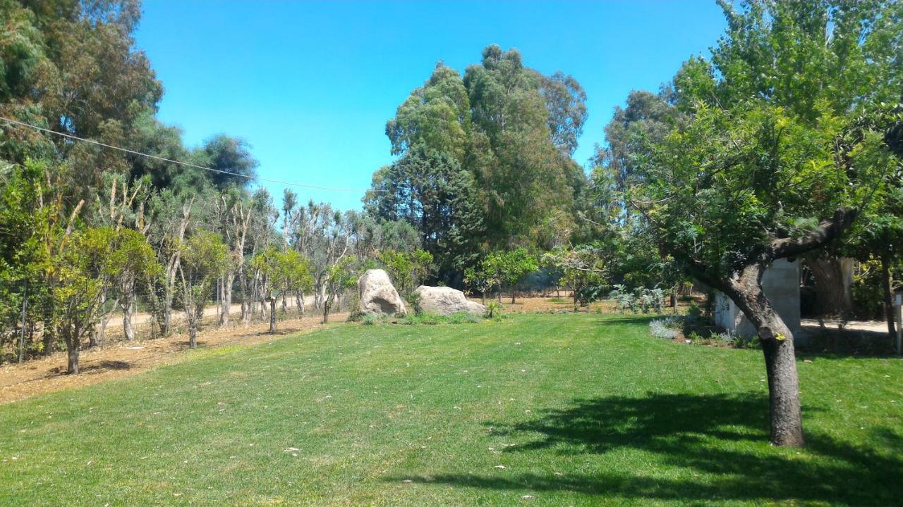 Villa Canu Alghero Buitenkant foto